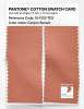 Product image 2 of the product “PANTONE® COTTON SWATCH CARD 15-1333 TCX Canyon Sunset ”