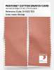 Product image 2 of the product “PANTONE® COTTON SWATCH CARD 15-1523 TCX Shrimp ”