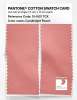 Product image 2 of the product “PANTONE® COTTON SWATCH CARD 15-1621 TCX Candlelight Peach ”