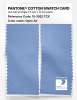 Artikelbild 2 des Artikels “PANTONE® COTTON SWATCH CARD 15-3922 TCX Open Air “