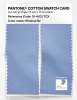Artikelbild 2 des Artikels “PANTONE® COTTON SWATCH CARD 15-4031 TCX Windsurfer “