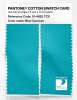 Product image 2 of the product “PANTONE® COTTON SWATCH CARD 15-4825 TCX Blue Curacao ”