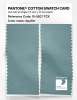 Product image 2 of the product “PANTONE® COTTON SWATCH CARD 15-5207 TCX Aquifer ”