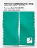Product image 2 of the product “PANTONE® COTTON SWATCH CARD 15-5421 TCX Aqua Green ”