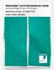 Artikelbild 2 des Artikels “PANTONE® COTTON SWATCH CARD 15-5425 TCX Atlantis “