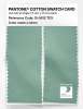 Product image 2 of the product “PANTONE® COTTON SWATCH CARD 15-5812 TCX Lichen ”