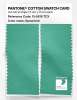 Product image 2 of the product “PANTONE® COTTON SWATCH CARD 15-5819 TCX Spearmint ”