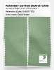 Product image 2 of the product “PANTONE® COTTON SWATCH CARD 15-6317 TCX Quiet Green ”