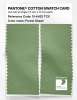 Product image 2 of the product “PANTONE® COTTON SWATCH CARD 15-6423 TCX Forest Shade ”