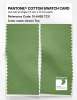 Product image 2 of the product “PANTONE® COTTON SWATCH CARD 15-6428 TCX Green Tea ”