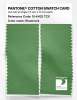 Product image 2 of the product “PANTONE® COTTON SWATCH CARD 15-6432 TCX Shamrock ”