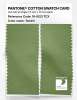 Product image 2 of the product “PANTONE® COTTON SWATCH CARD 16-0123 TCX Tendril ”