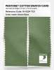 Product image 2 of the product “PANTONE® COTTON SWATCH CARD 16-0224 TCX Green Eyes ”