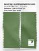 Artikelbild 2 des Artikels “PANTONE® COTTON SWATCH CARD 16-0228 TCX Jade Green “