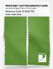 Product image 2 of the product “PANTONE® COTTON SWATCH CARD 16-0235 TCX Kiwi ”
