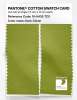 Artikelbild 2 des Artikels “PANTONE® COTTON SWATCH CARD 16-0435 TCX Dark Citron “