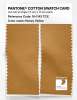Product image 2 of the product “PANTONE® COTTON SWATCH CARD 16-1143 TCX Honey Yellow ”