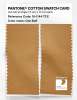 Product image 2 of the product “PANTONE® COTTON SWATCH CARD 16-1144 TCX Oak Buff ”