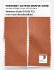 Artikelbild 2 des Artikels “PANTONE® COTTON SWATCH CARD 16-1340 TCX Brandied Melon “