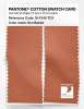 Artikelbild 2 des Artikels “PANTONE® COTTON SWATCH CARD 16-1345 TCX Sun Baked “