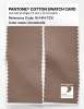 Product image 2 of the product “PANTONE® COTTON SWATCH CARD 16-1414 TCX Chanterelle ”