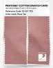 Product image 2 of the product “PANTONE® COTTON SWATCH CARD 16-1511 TCX Rose Tan ”