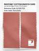 Artikelbild 2 des Artikels “PANTONE® COTTON SWATCH CARD 16-1526 TCX Terra Cotta “