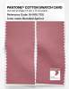 Product image 2 of the product “PANTONE® COTTON SWATCH CARD 16-1610 TCX Brandied Apricot ”
