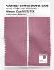 Artikelbild 2 des Artikels “PANTONE® COTTON SWATCH CARD 16-1712 TCX Polignac “