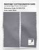 Product image 2 of the product “PANTONE® COTTON SWATCH CARD 16-3916 TCX Sleet ”