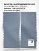 Artikelbild 2 des Artikels “PANTONE® COTTON SWATCH CARD 16-4010 TCX Dusty Blue “