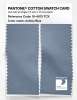 Artikelbild 2 des Artikels “PANTONE® COTTON SWATCH CARD 16-4013 TCX Ashley Blue “