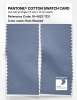 Artikelbild 2 des Artikels “PANTONE® COTTON SWATCH CARD 16-4023 TCX Rain Washed “