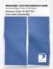 Artikelbild 2 des Artikels “PANTONE® COTTON SWATCH CARD 16-4033 TCX Granada Sky “