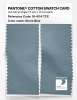 Product image 2 of the product “PANTONE® COTTON SWATCH CARD 16-4114 TCX Stone Blue ”