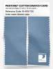 Artikelbild 2 des Artikels “PANTONE® COTTON SWATCH CARD 16-4118 TCX Glacier Lake “