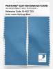 Artikelbild 2 des Artikels “PANTONE® COTTON SWATCH CARD 16-4127 TCX Heritage Blue “