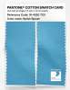 Artikelbild 2 des Artikels “PANTONE® COTTON SWATCH CARD 16-4520 TCX Splish Splash “