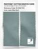Artikelbild 2 des Artikels “PANTONE® COTTON SWATCH CARD 16-5106 TCX Blue Surf “