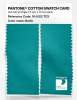 Product image 2 of the product “PANTONE® COTTON SWATCH CARD 16-5123 TCX Baltic ”