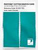 Product image 2 of the product “PANTONE® COTTON SWATCH CARD 16-5127 TCX Ceramic ”