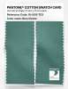 Artikelbild 2 des Artikels “PANTONE® COTTON SWATCH CARD 16-5515 TCX Beryl Green “