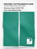 Product image 2 of the product “PANTONE® COTTON SWATCH CARD 16-5721 TCX Marine Green ”