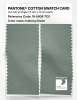 Artikelbild 2 des Artikels “PANTONE® COTTON SWATCH CARD 16-5808 TCX Iceberg Green “