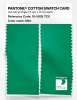 Product image 2 of the product “PANTONE® COTTON SWATCH CARD 16-5938 TCX Mint ”