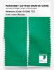 Product image 2 of the product “PANTONE® COTTON SWATCH CARD 16-5942 TCX Blarney ”
