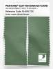Artikelbild 2 des Artikels “PANTONE® COTTON SWATCH CARD 16-6116 TCX Shale Green “