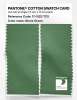 Artikelbild 2 des Artikels “PANTONE® COTTON SWATCH CARD 17-0123 TCX Stone Green “