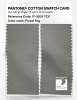 Artikelbild 2 des Artikels “PANTONE® COTTON SWATCH CARD 17-0209 TCX Forest Fog “