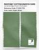 Product image 2 of the product “PANTONE® COTTON SWATCH CARD 17-0215 TCX Aspen Green ”